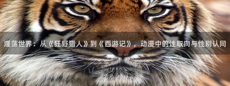 布丁动漫下载